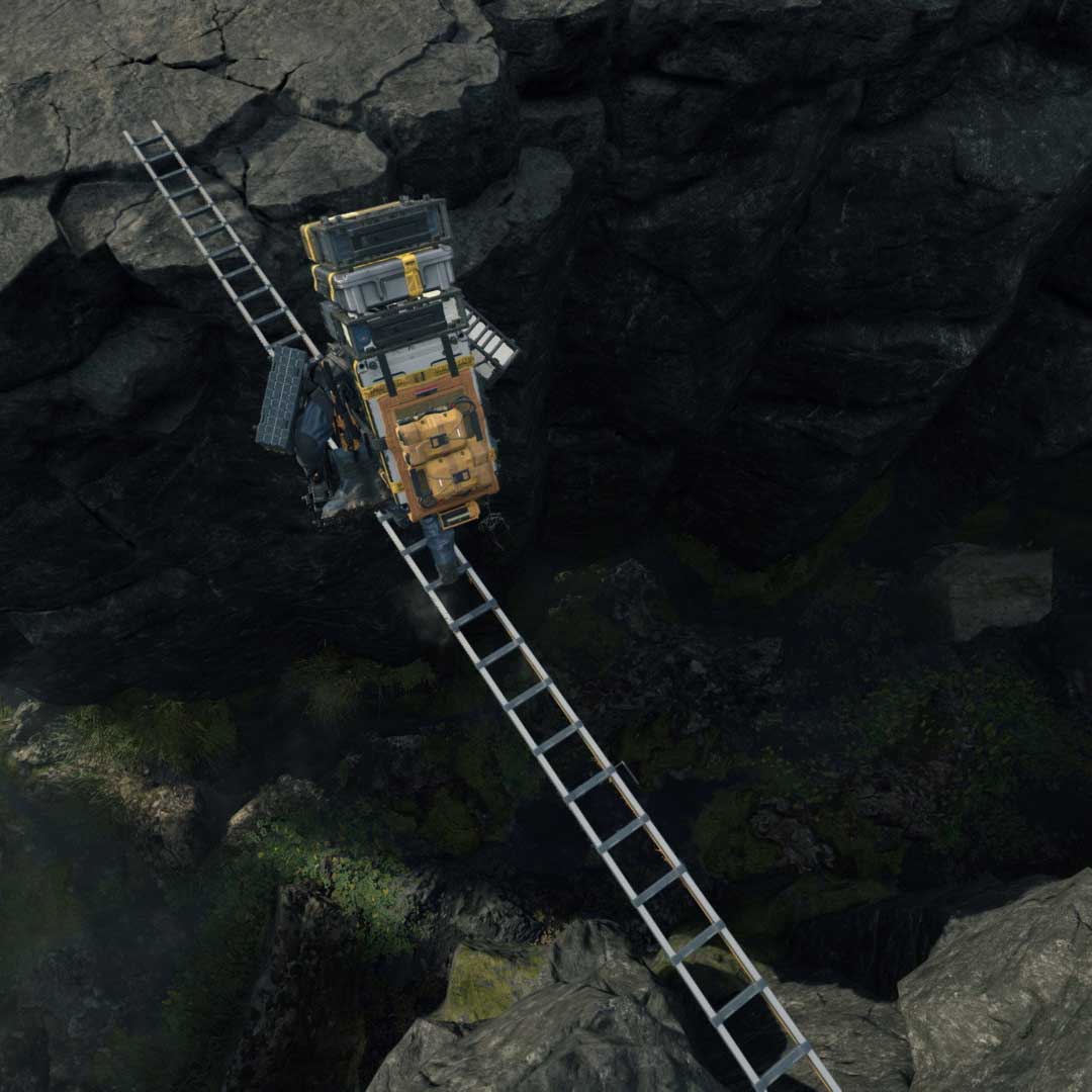 sample-ladder