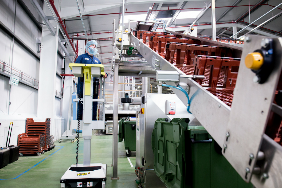 Working at heights standard picture